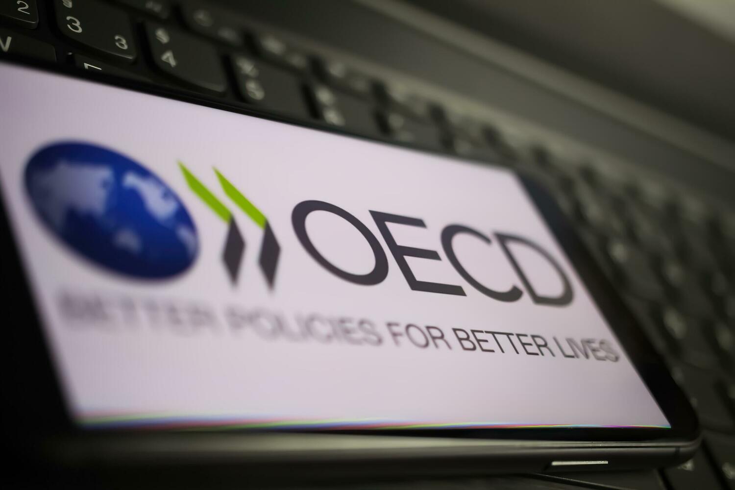 OECD:      ,     