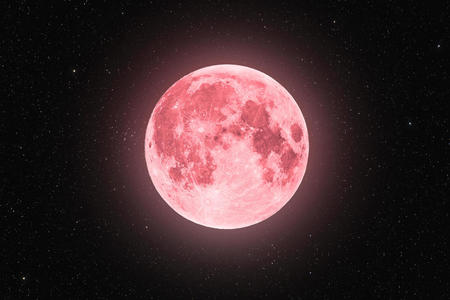      pink moon  