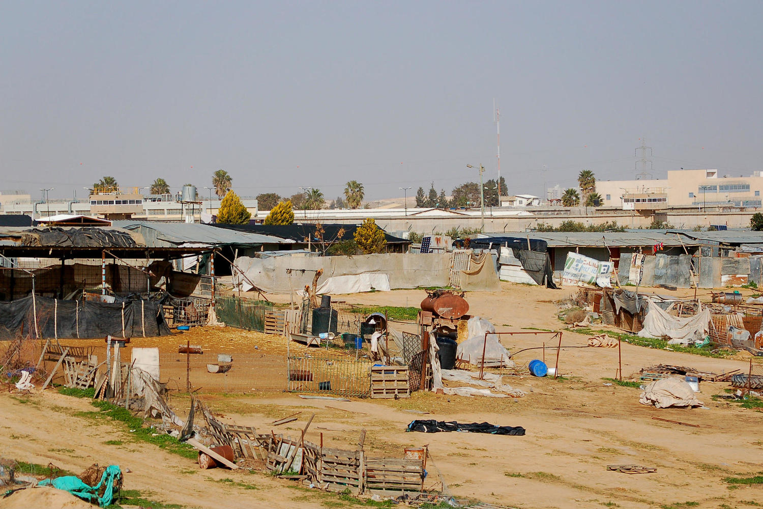 бедуинский поселок в Негеве