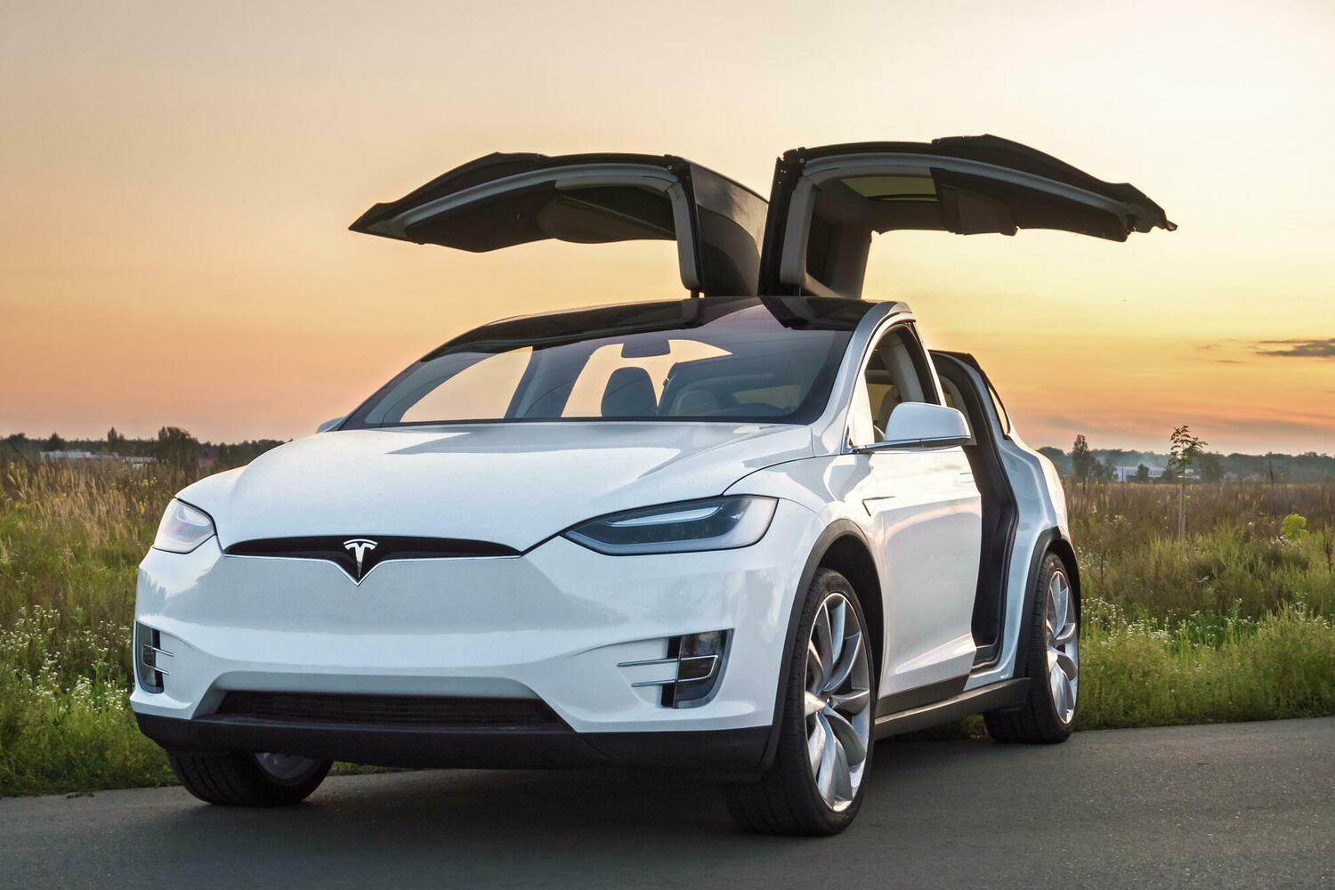 Владелец Tesla взорвал автомобиль с манекеном Илона Маска