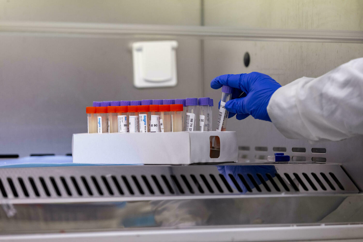 PCR-тестирование станет доступным для всех, но с разной скоростью для молодых и пожилых
