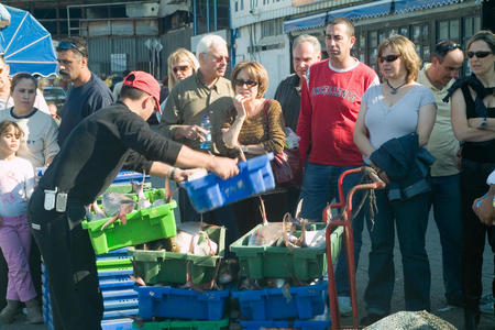 Минздрав запретил продажу рыбы из Средиземного моря