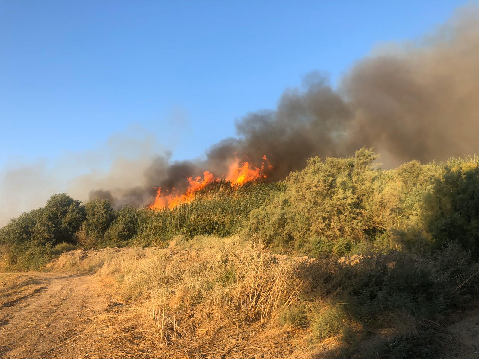 Пожар на местности возле кибуца Афиким на севере