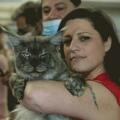 Большая международная выставка кошек и котят всех пород в Кармиэле
