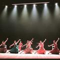 Ансамбль Фламенко — The Flamenco Show — Премьера