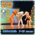 Space Dogs — Озорные Щенки Незабываемое яркое и веселое шоу для всей семьи!