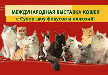 Международная выставка кошек и Супер Шоу Иллюзий