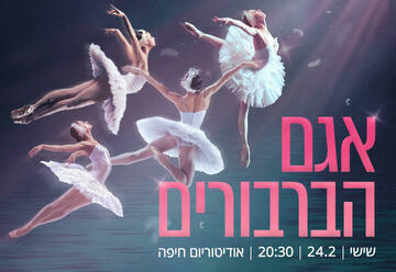 אגם הברבורים- Russian Multimedia Theatre of Ballet