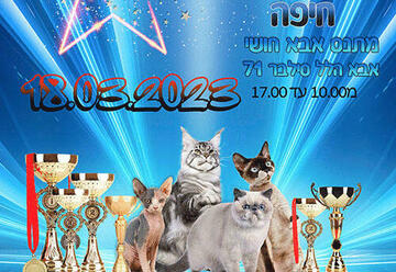 תערוכת חתולים Champions League - תערוכות בישראל