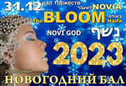 Встреча 2023 Года в Израиле в элитных залах Bloom