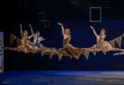 Иерусалимский балет — Скрипач на крыше