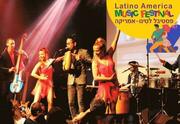פסטיבל לטינו- אמריקה 2023 - מחווה לבואנה ויסטה סושיאל קלאב