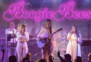 BoogieBees - Bee Gees Tribute